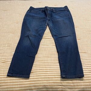 Joe's Jeans Dark Blue Denim Skinny Jeans